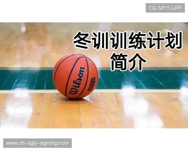 篮球运动员赛季训练计划制定与科学调整方法