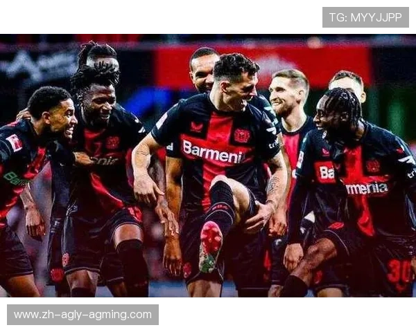 赞扬德甲球队：球迷与专家对德甲球队的评价